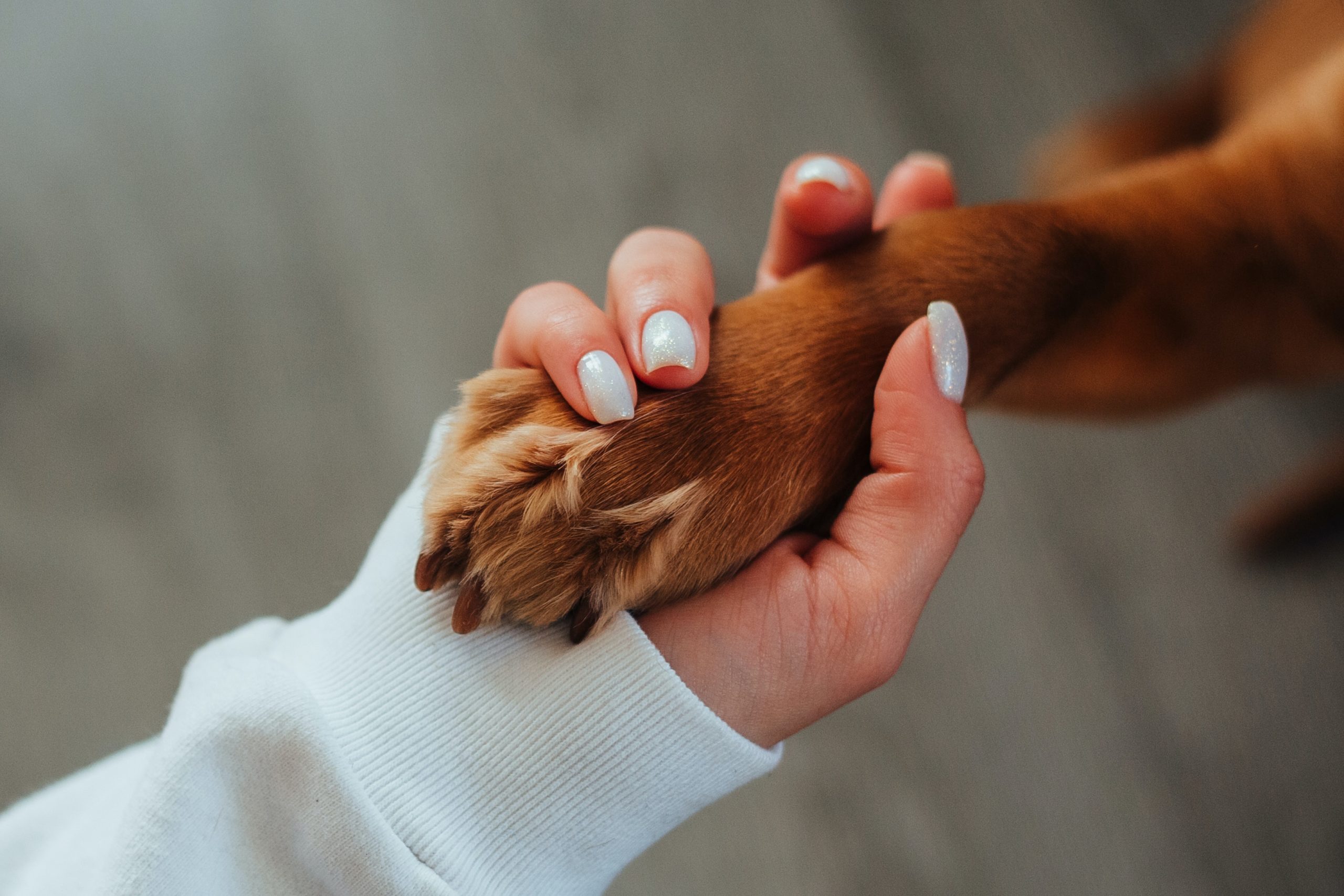 Nail Trimming