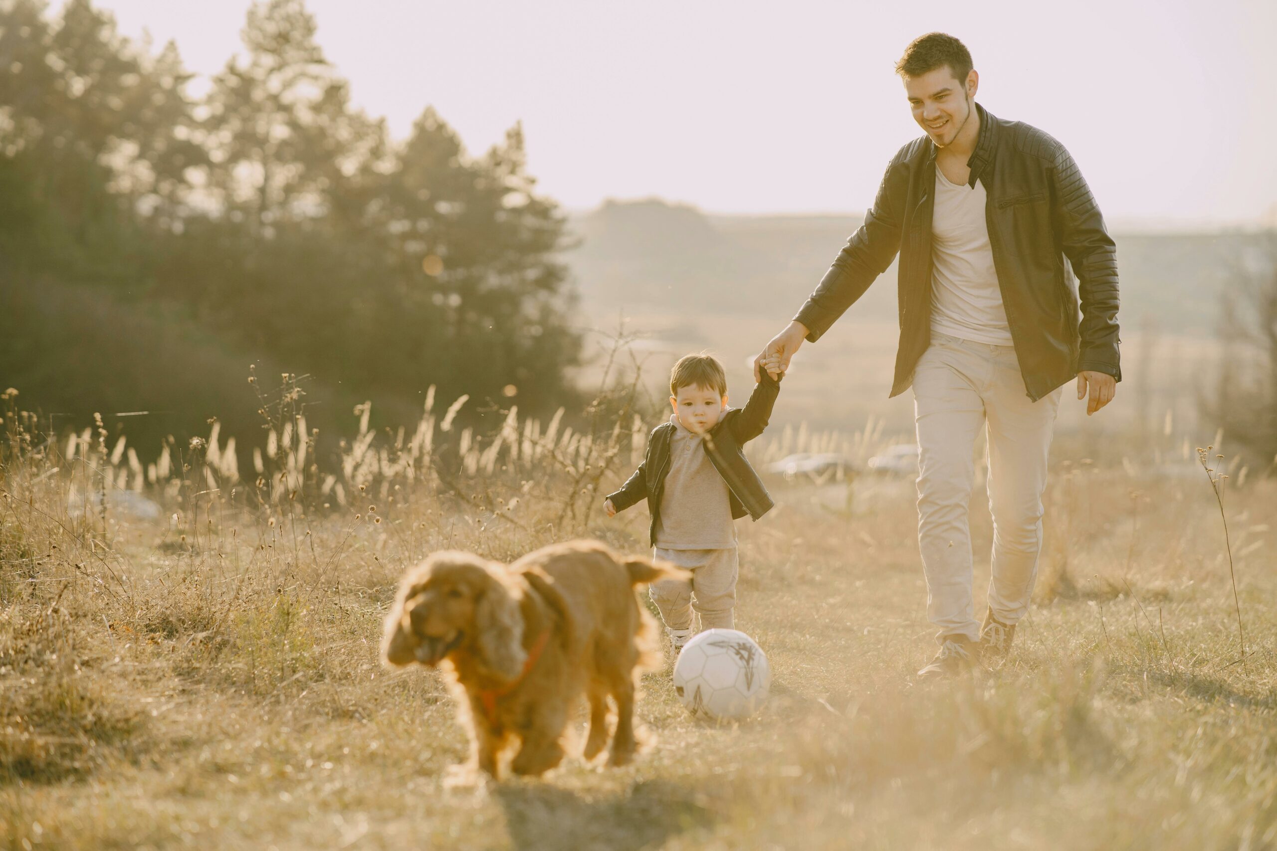 Are There Parallels Between Dog Training & Parenting?